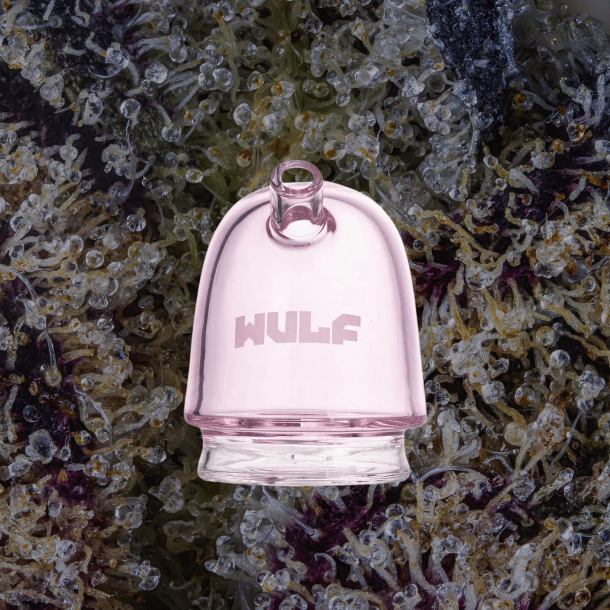 Wulf Mods Link Puffco Peak Top Pink | Trichly