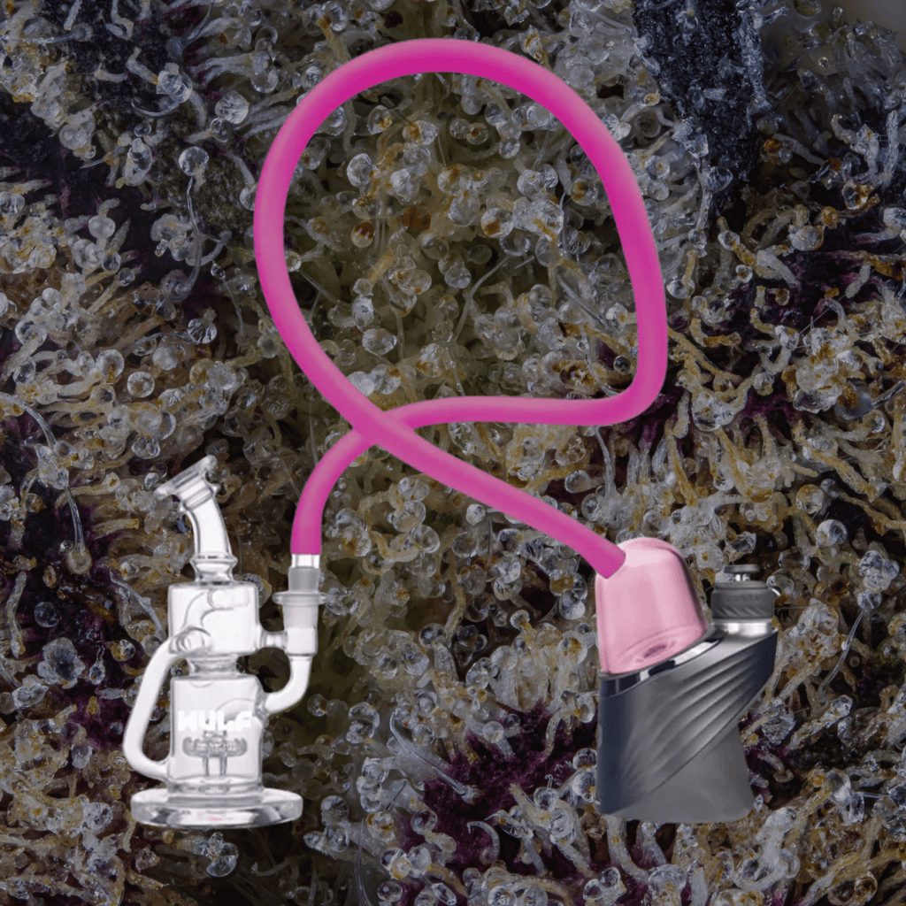 Wulf Mods Link Puffco Peak Top Pink | Trichly