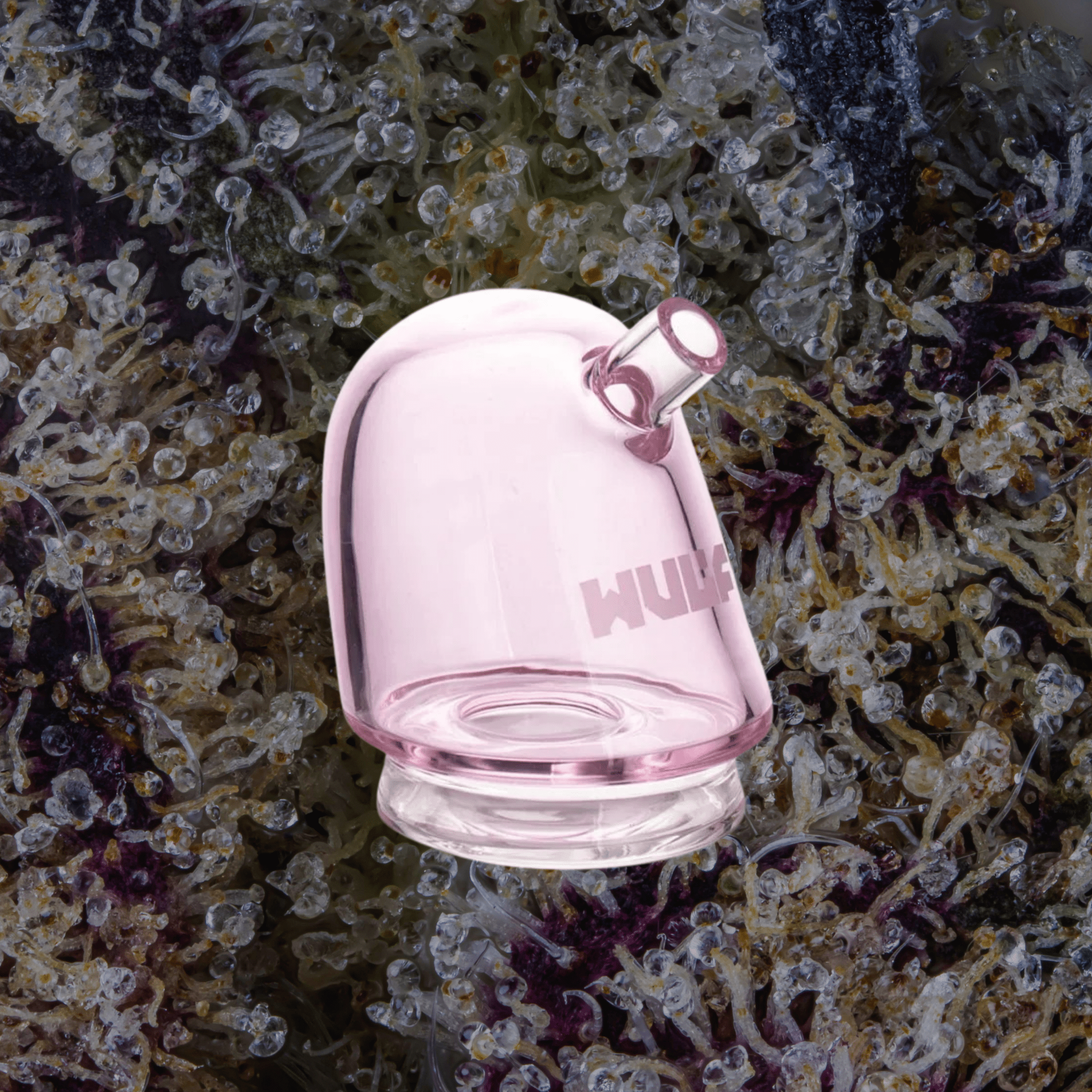 Wulf Mods Link Puffco Peak Top Pink | Trichly