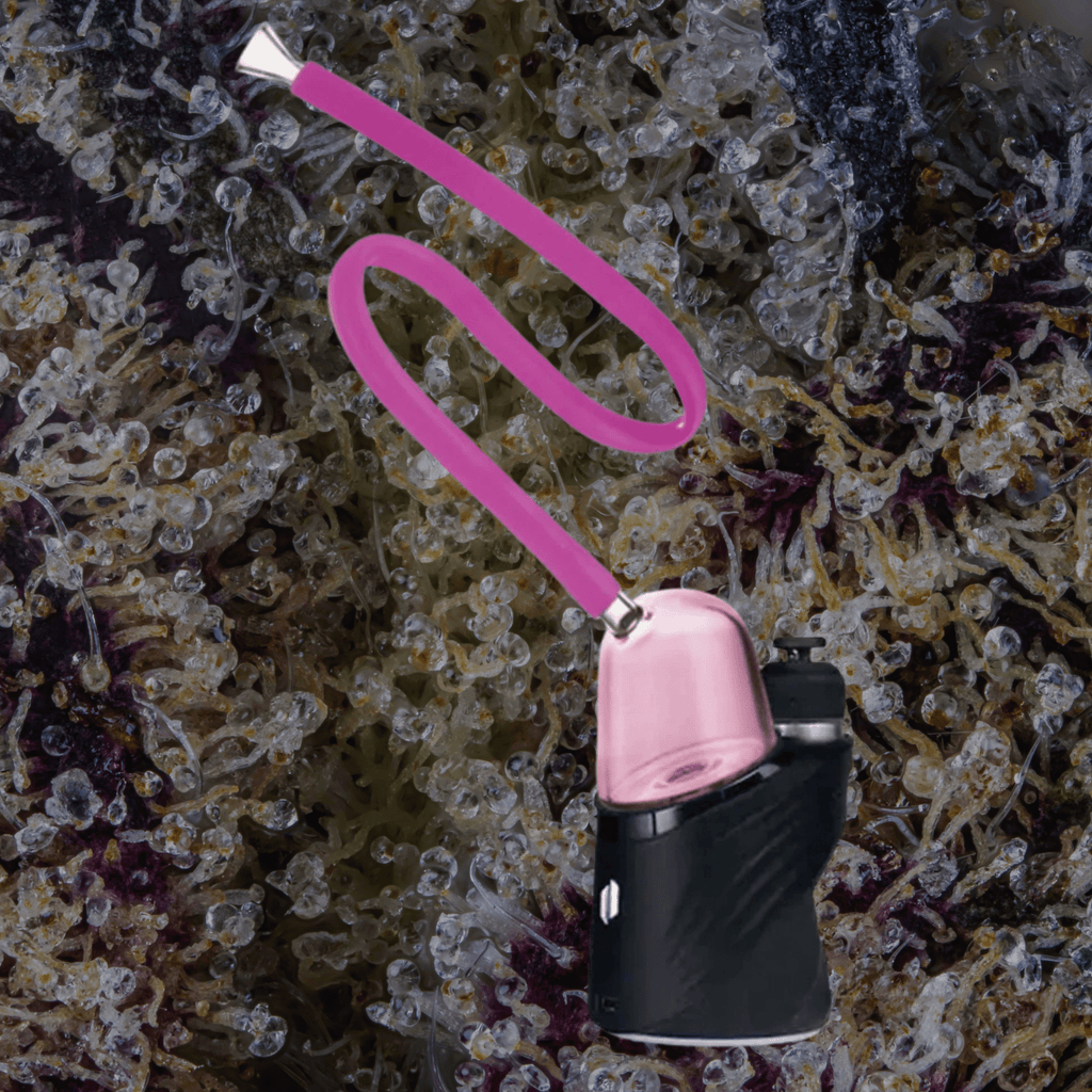 Wulf Mods Link Puffco Peak Top Pink | Trichly