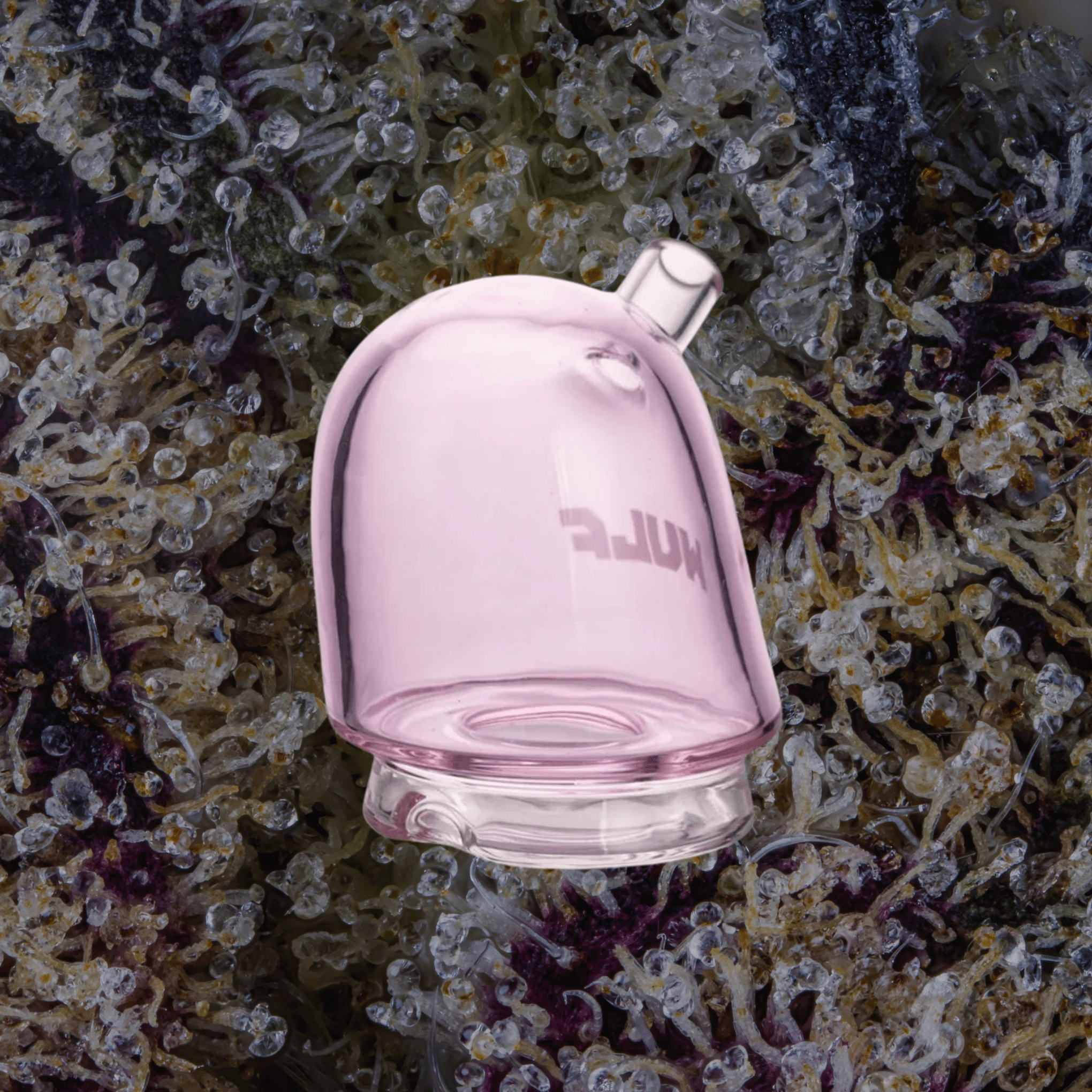 Wulf Mods Link Puffco Peak Top Pink | Trichly