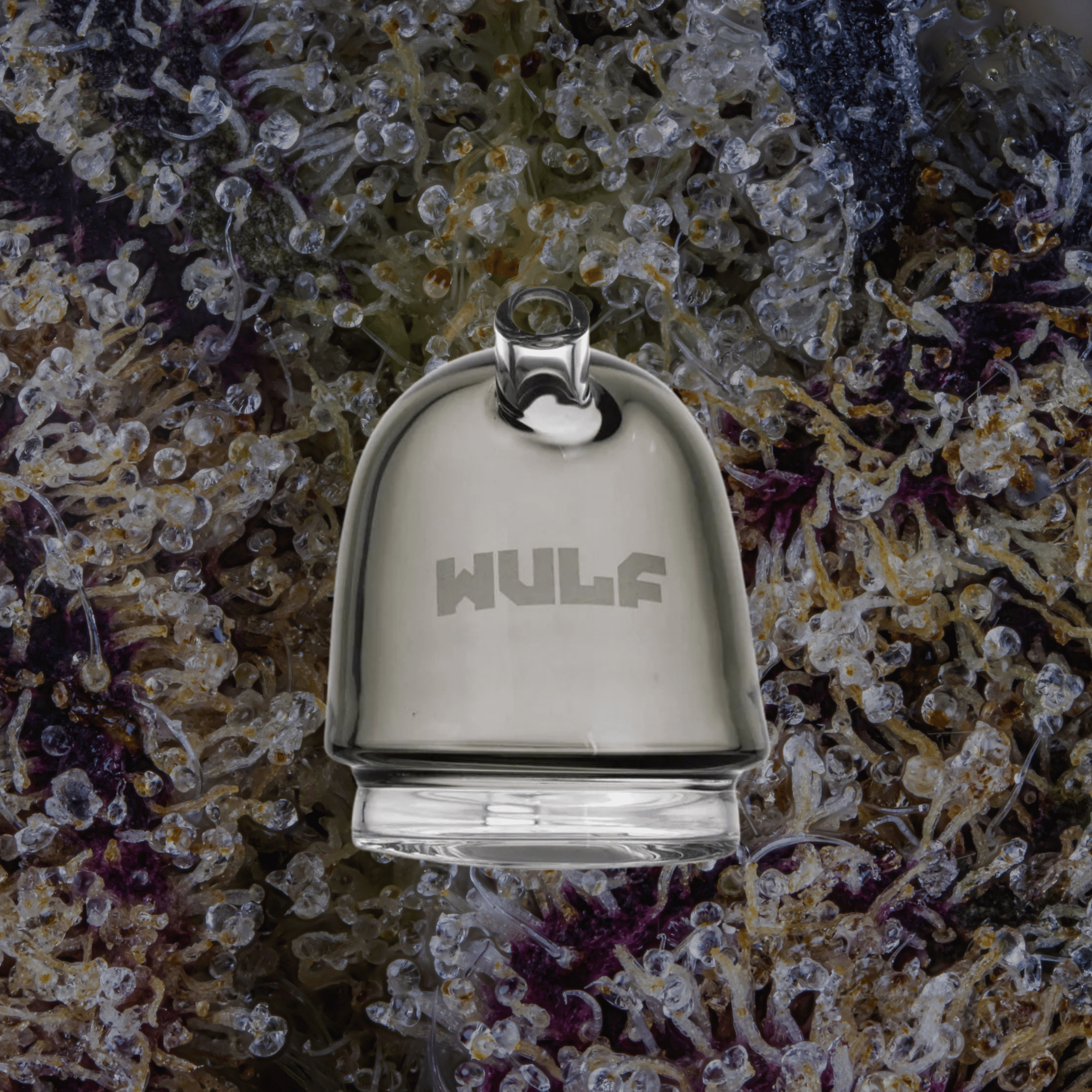 Wulf Mods Link Puffco Peak Top Smoke | Trichly