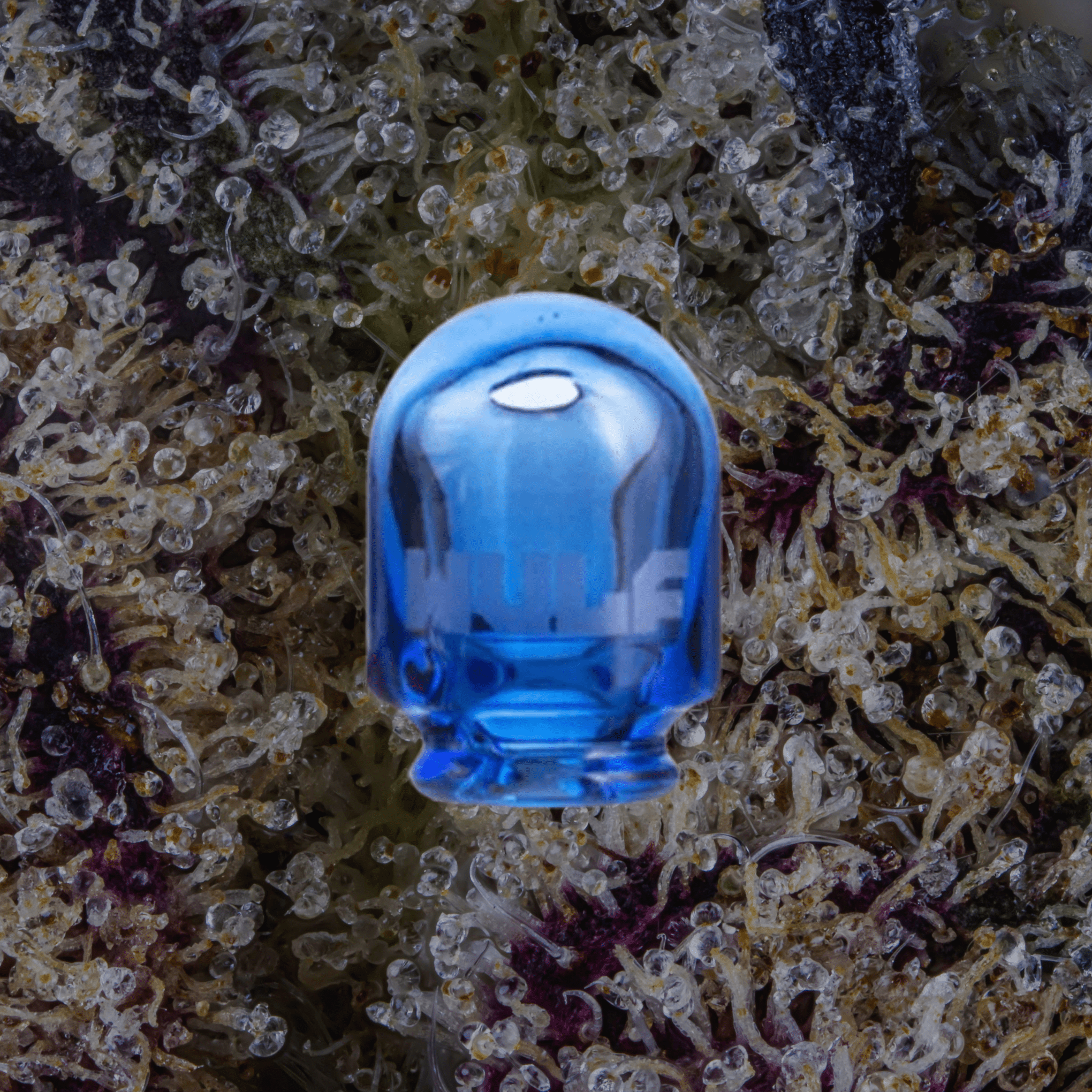 Wulf Mods Loon Puffco Pivot Top Blue | Trichly