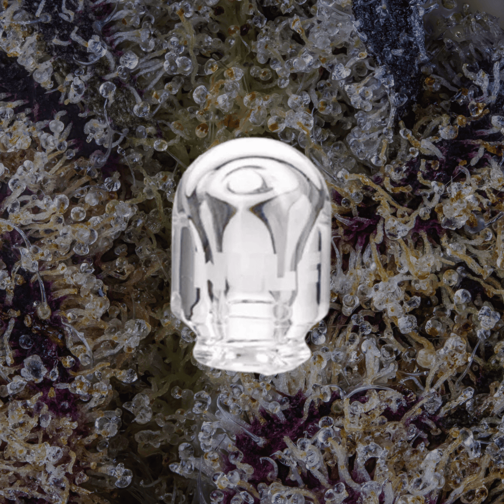 Wulf Mods Loon Puffco Pivot Top Clear | Trichly