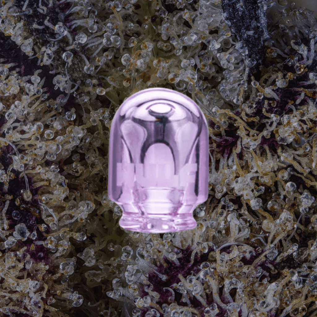 Wulf Mods Loon Puffco Pivot Top Purple | Trichly