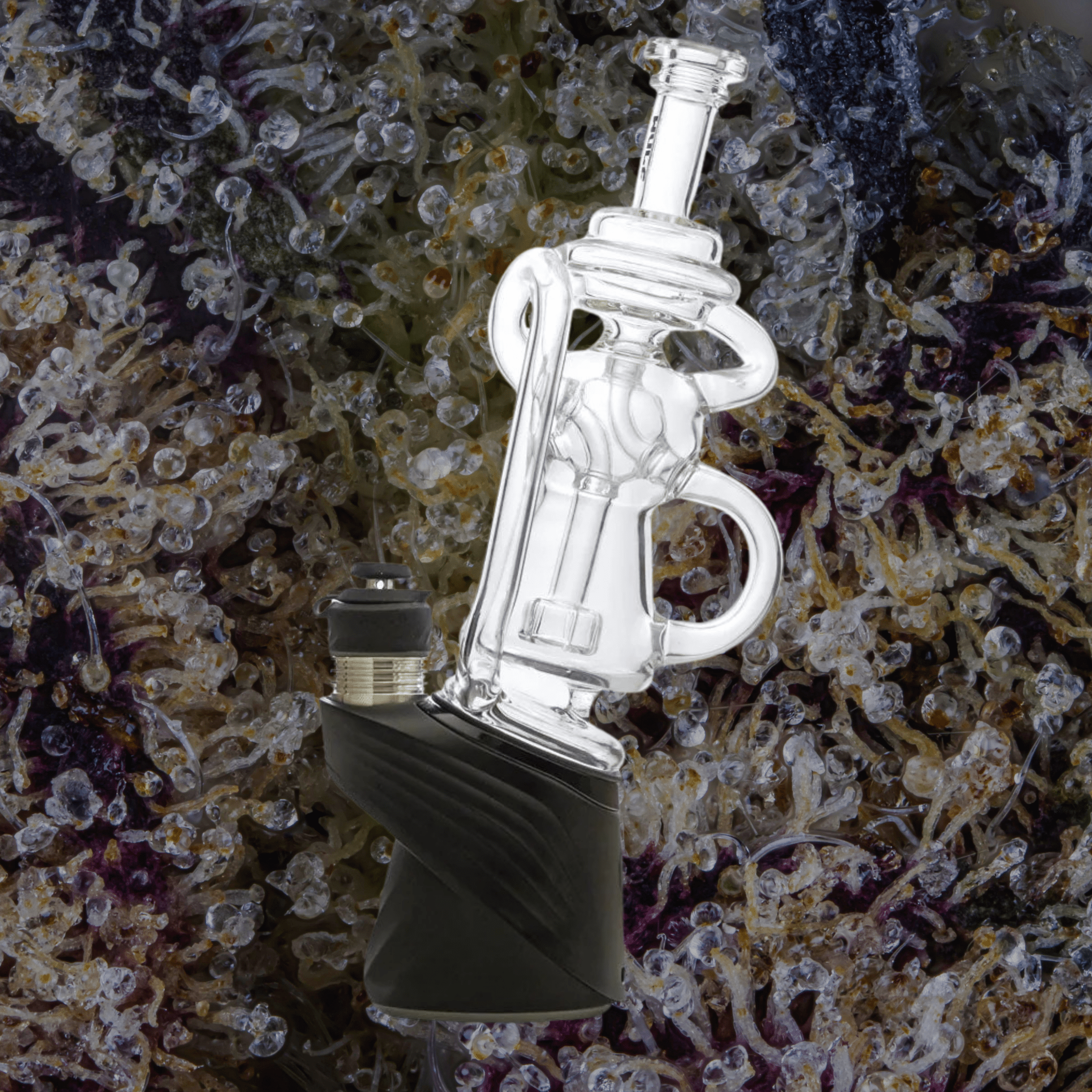 Wulf Mods Loop Puffco Peak Top Purple | Trichly