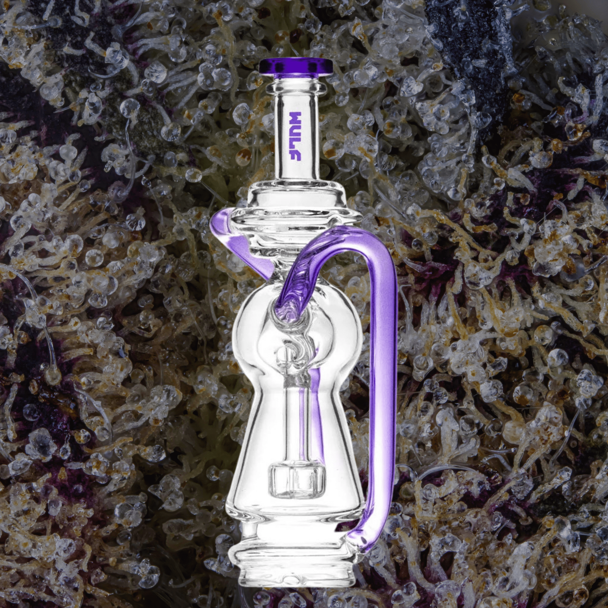 Wulf Mods Loop Puffco Peak Top Purple | Trichly