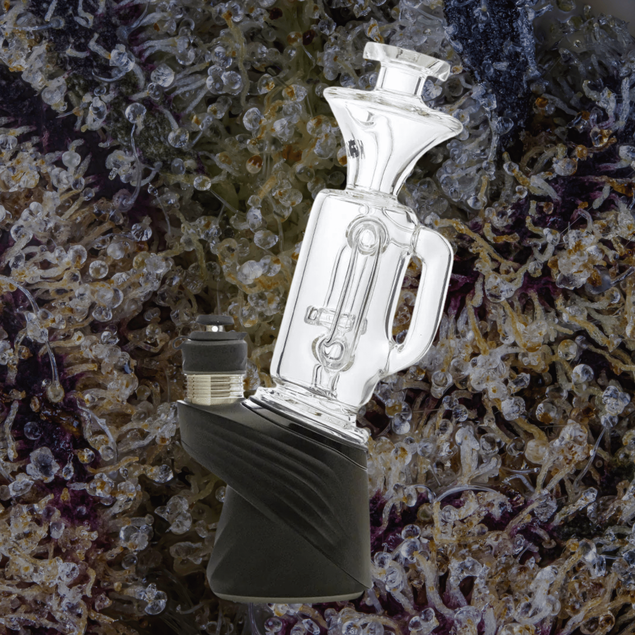 Wulf Mods Quake Puffco Peak Top Purple | Trichly
