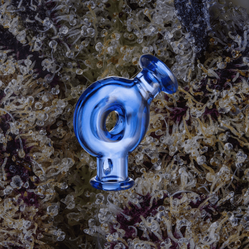 Wulf Mods Ring Puffco Pivot Top Blue | Trichly