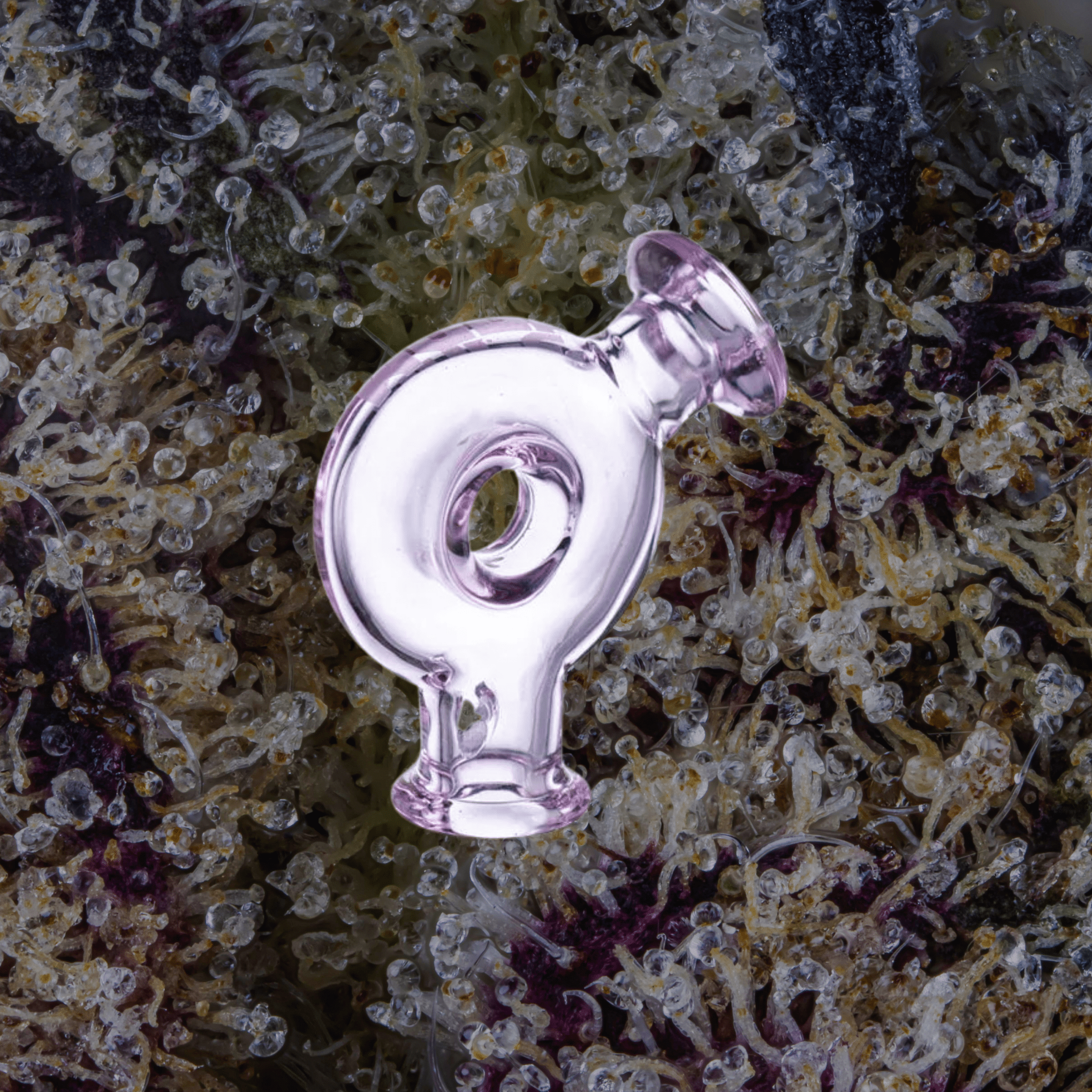 Wulf Mods Ring Puffco Pivot Top Purple | Trichly