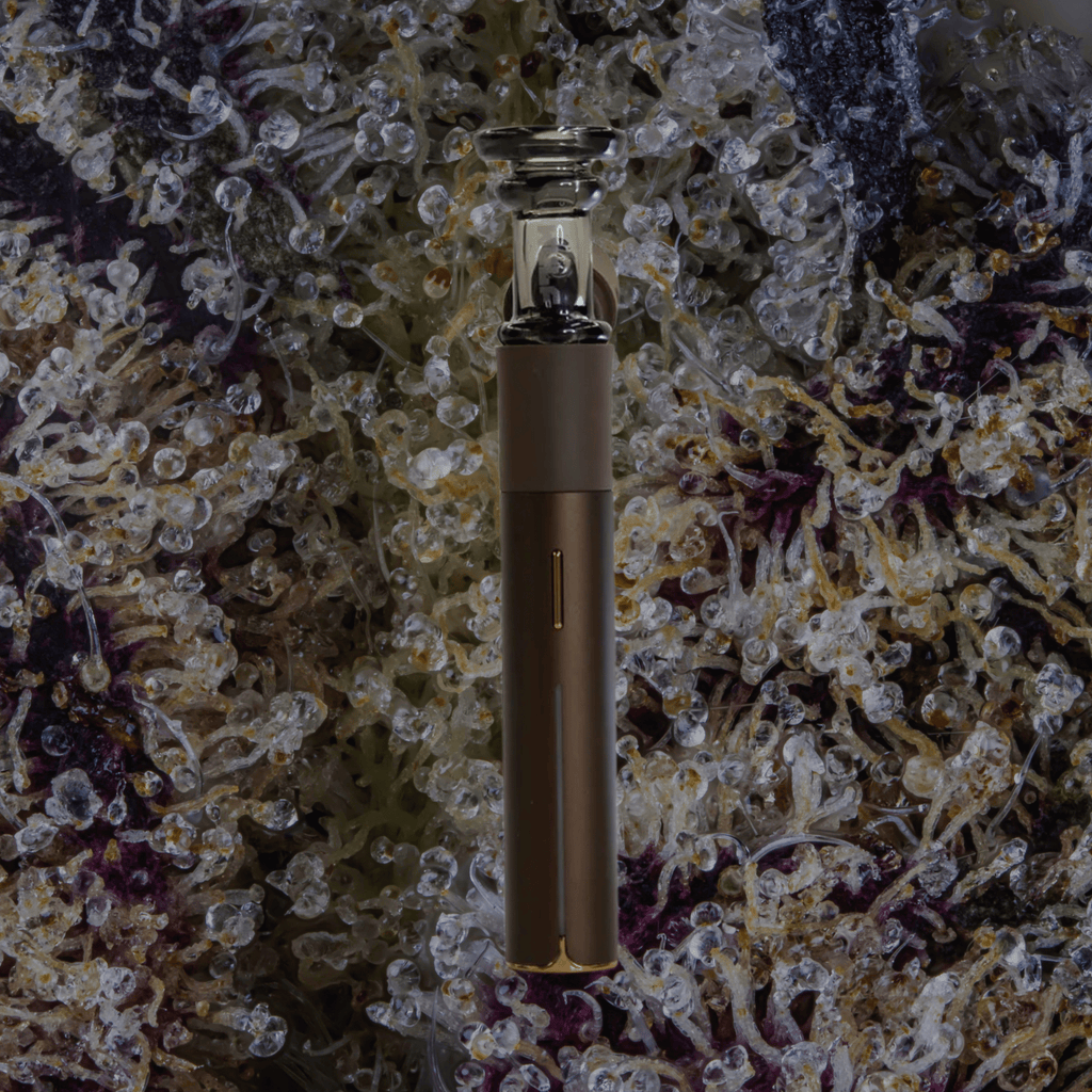 Wulf Mods Towr Puffco Pivot Top Clear | Trichly