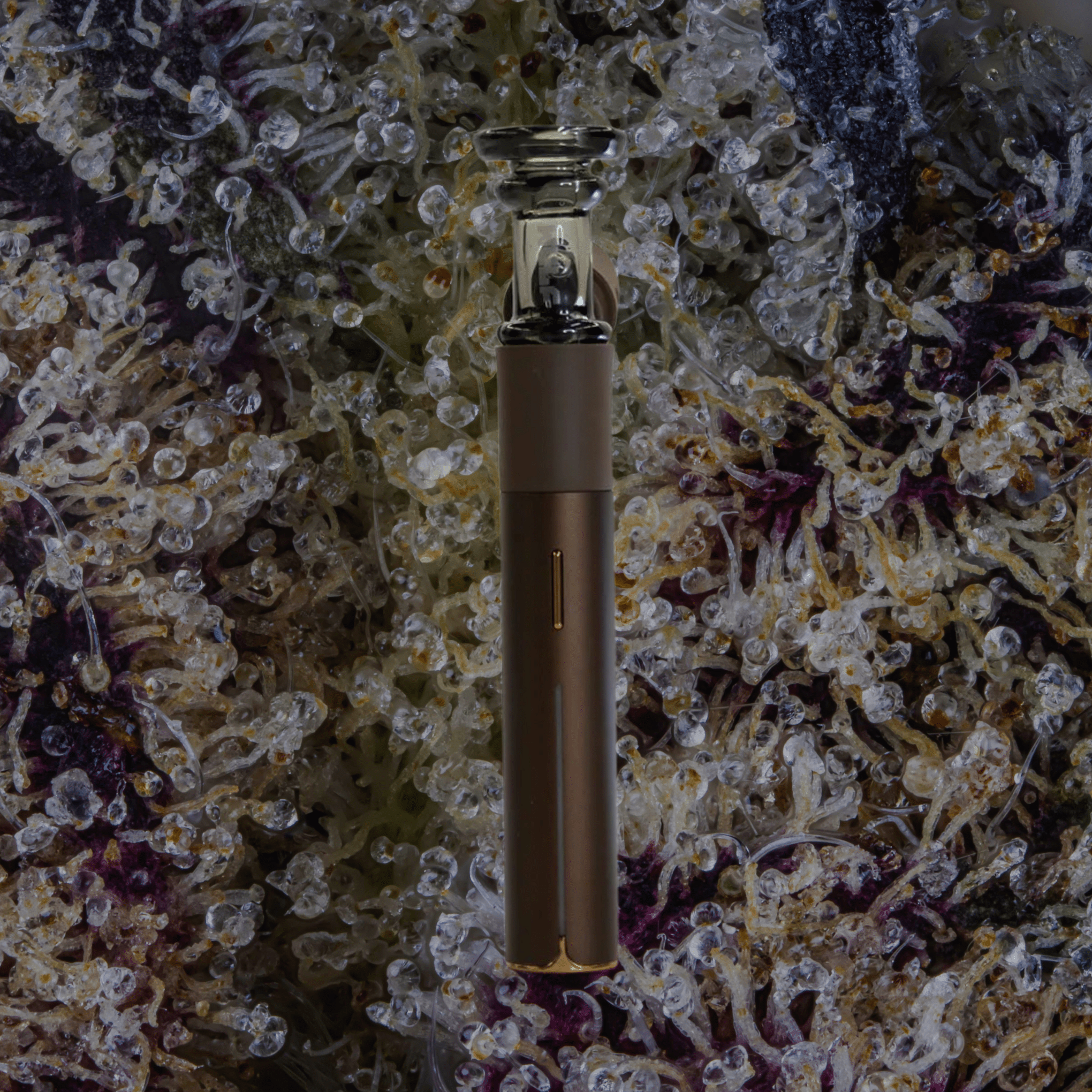 Wulf Mods Towr Puffco Pivot Top Clear | Trichly