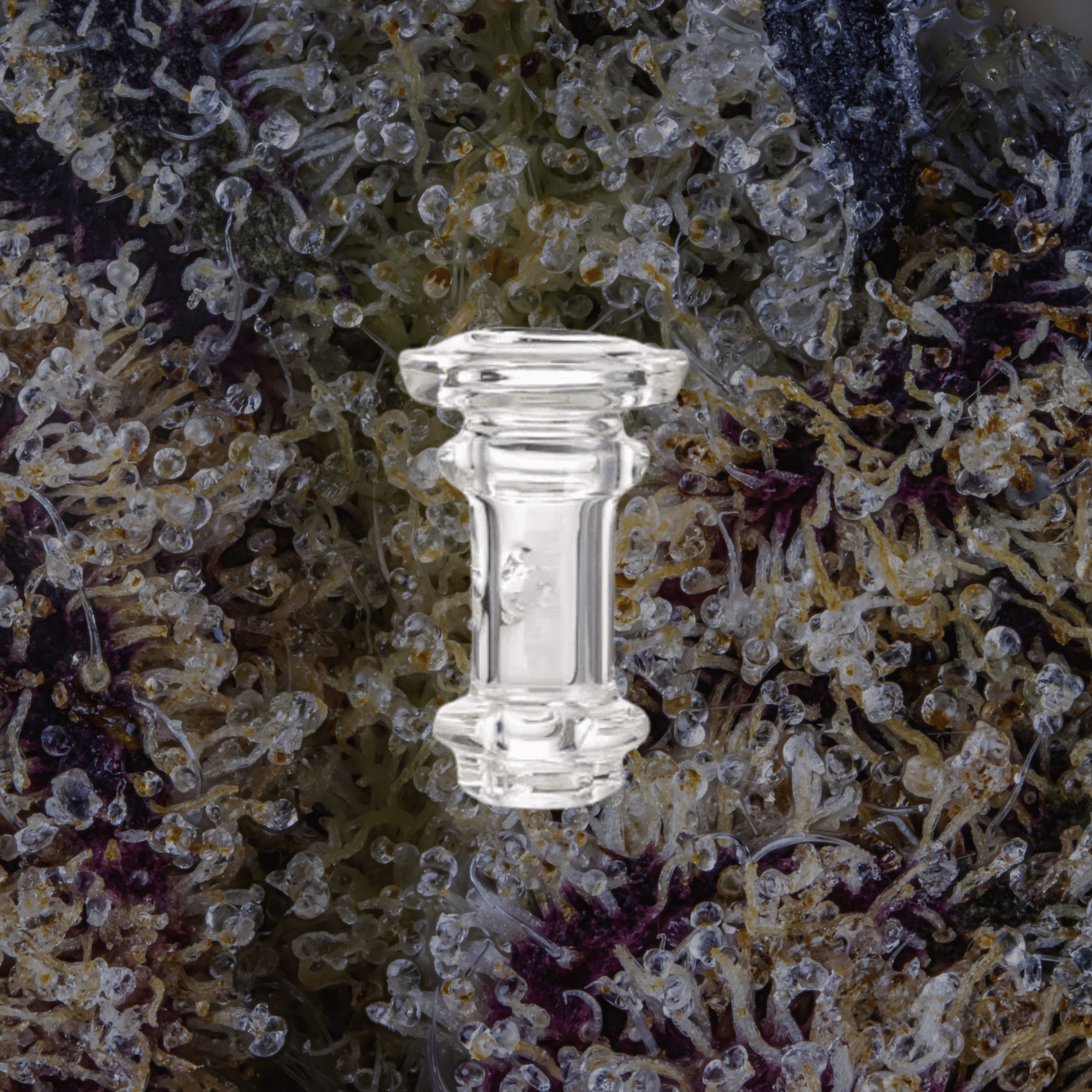 Wulf Mods Towr Puffco Pivot Top Clear | Trichly
