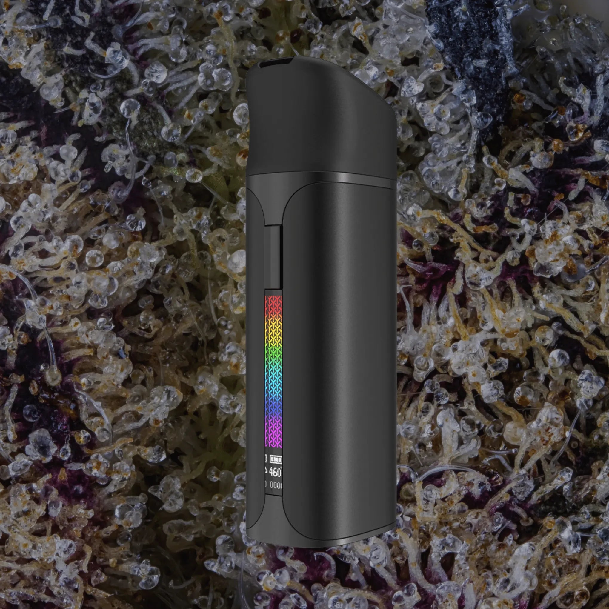 Yocan Pocket Black | Trichly