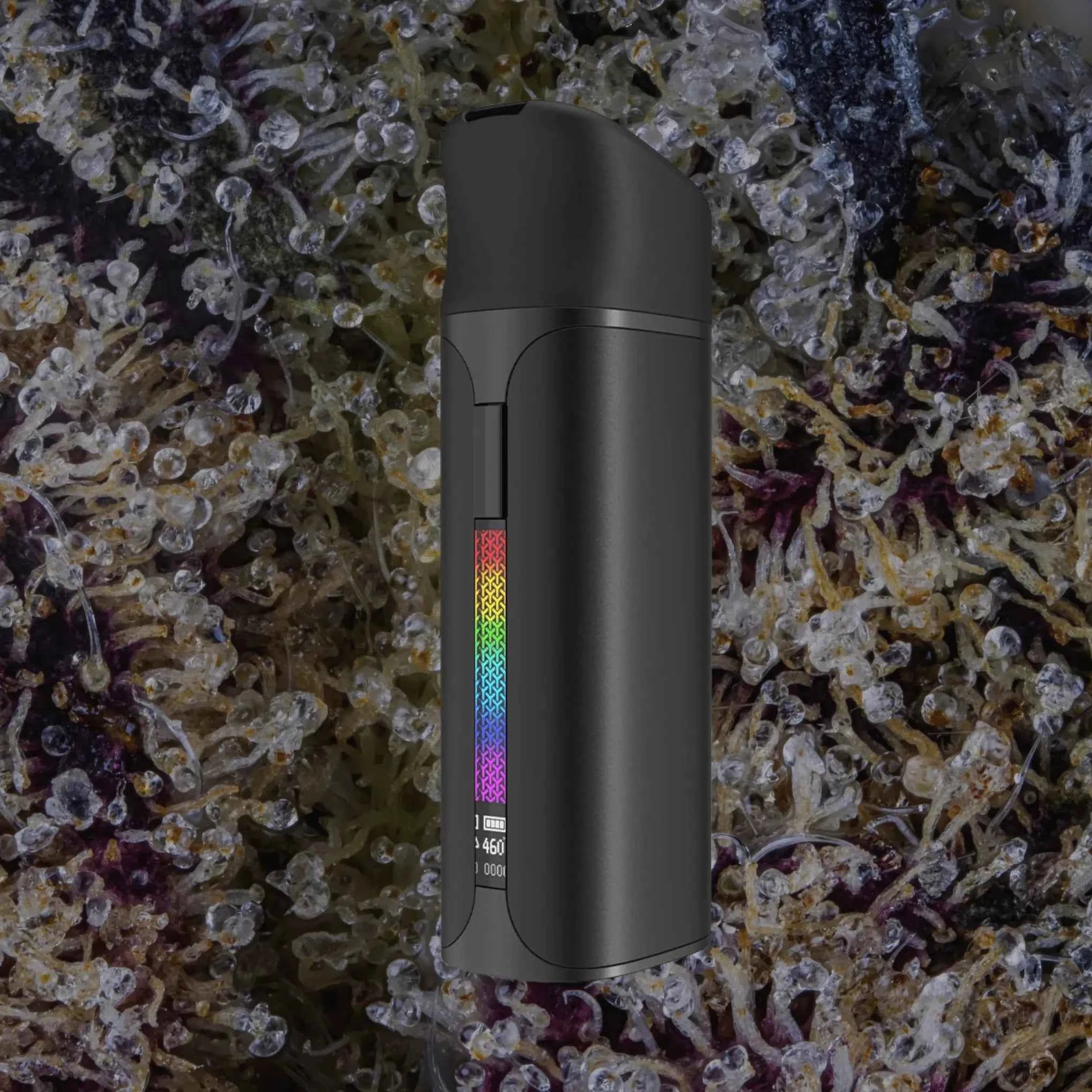 Yocan Pocket Black | Trichly