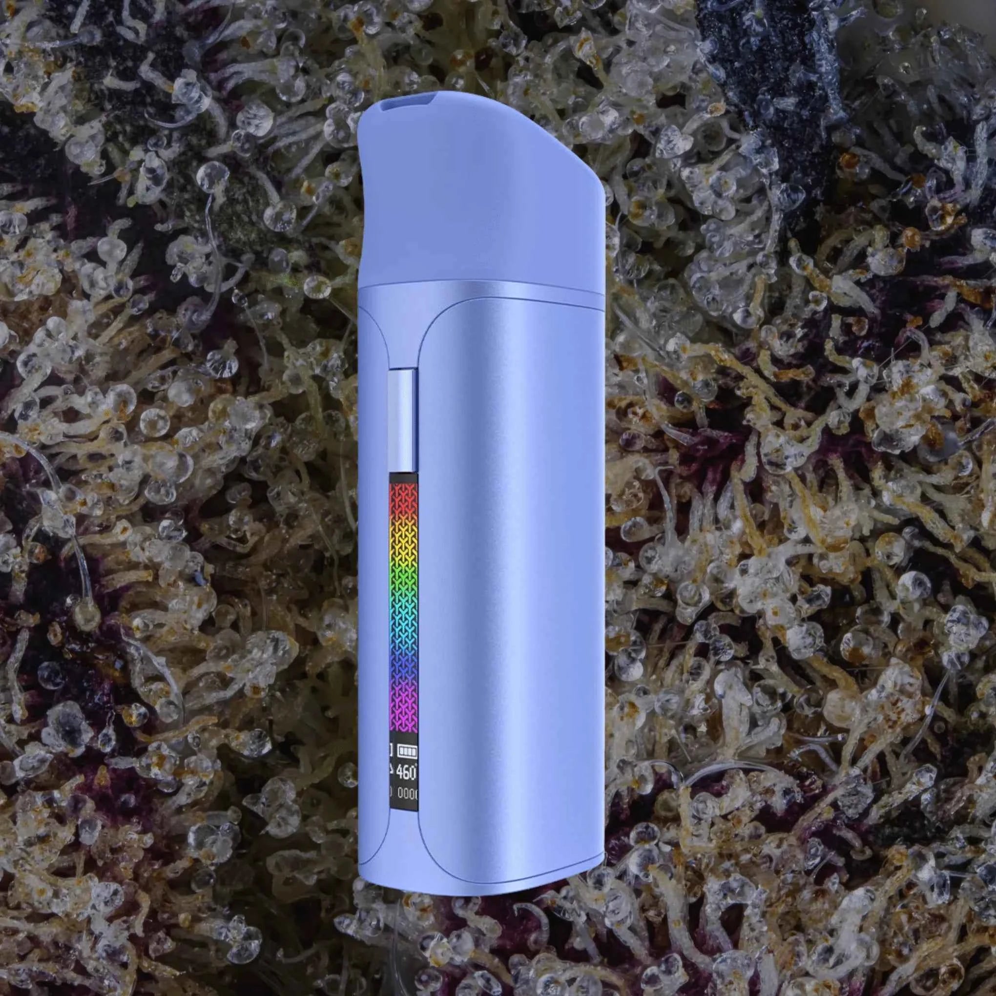 Yocan Pocket Blue | Trichly