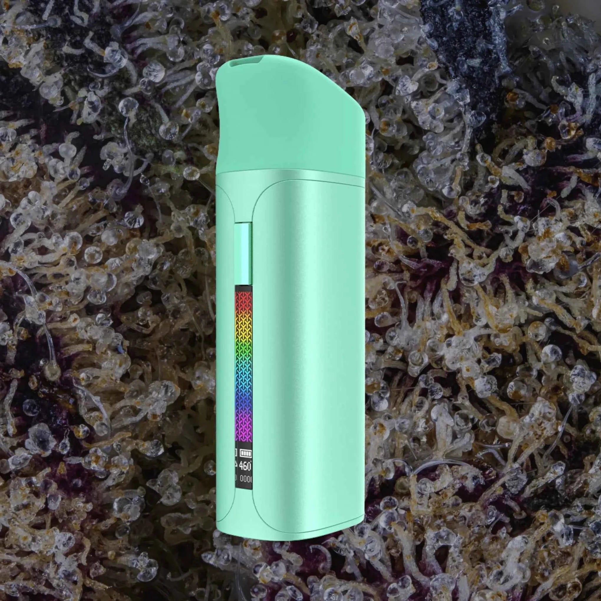 Yocan Pocket Green | Trichly