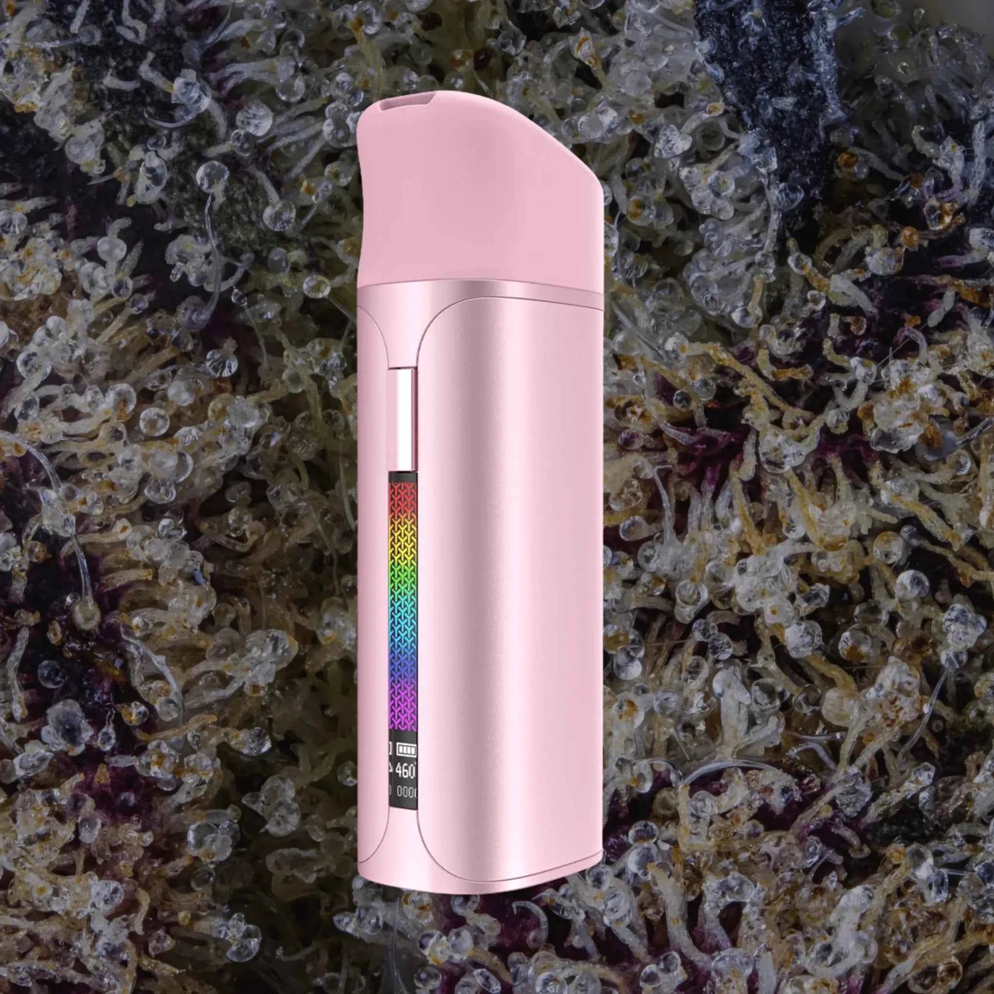 Yocan Pocket Pink | Trichly