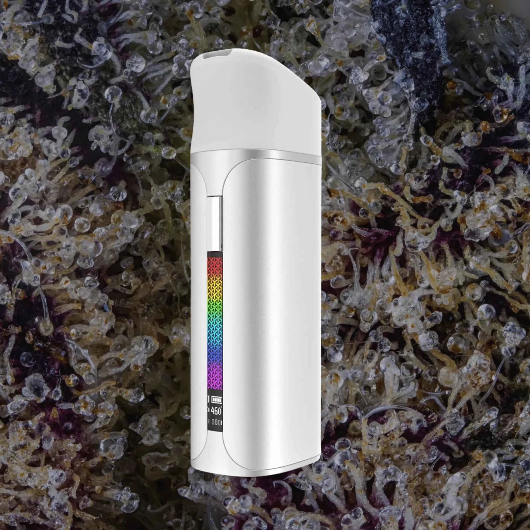 Yocan Pocket Silver | Trichly