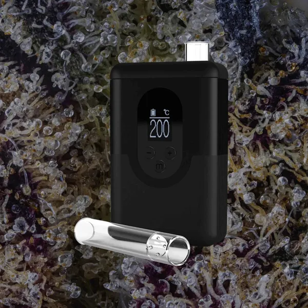 Arizer ArGo, for flower from Trichly photo 1