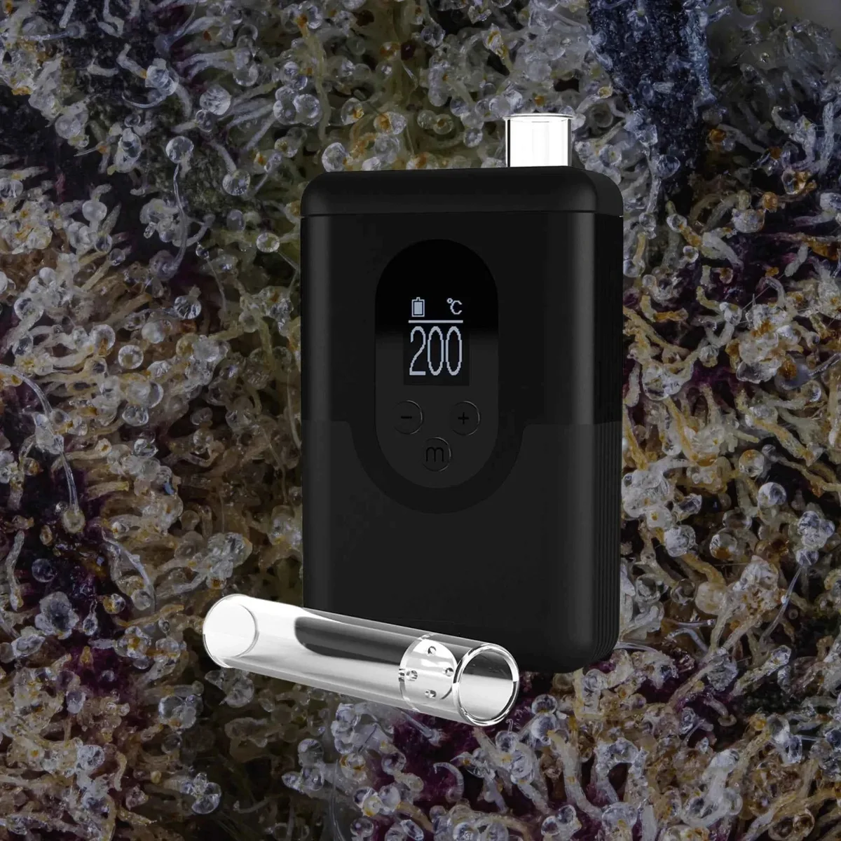 Arizer ArGo, for flower from Trichly