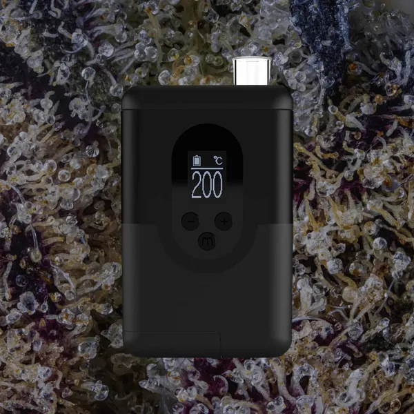 Arizer ArGo, for flower from Trichly photo 2