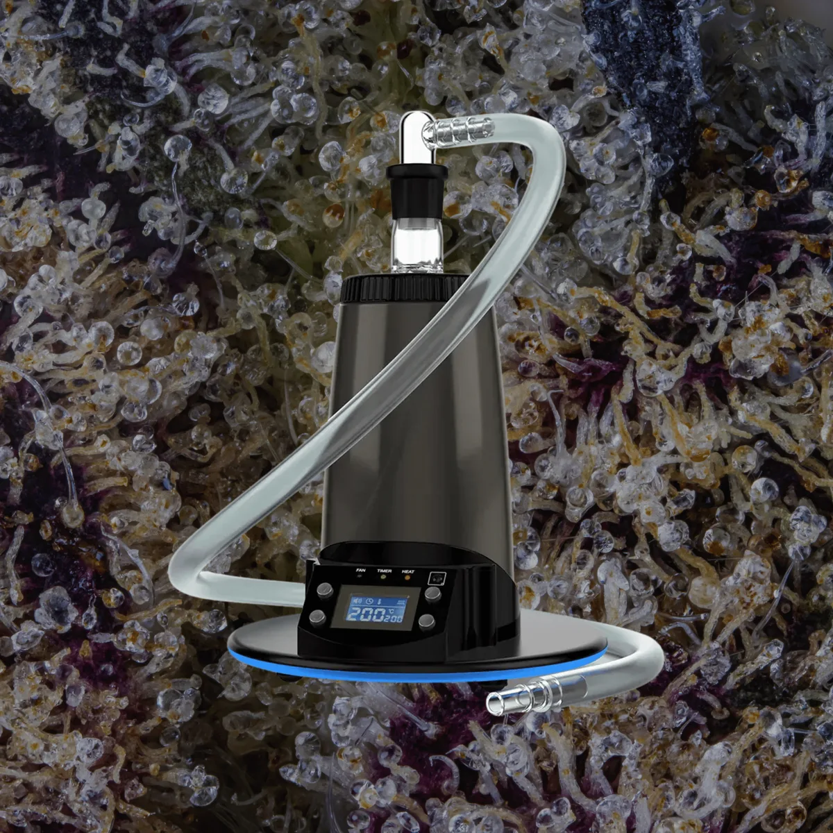 Arizer ExtremeQ, for flower from Trichly
