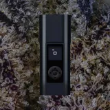 Arizer Solo III V2, for flower from Trichly photo 2