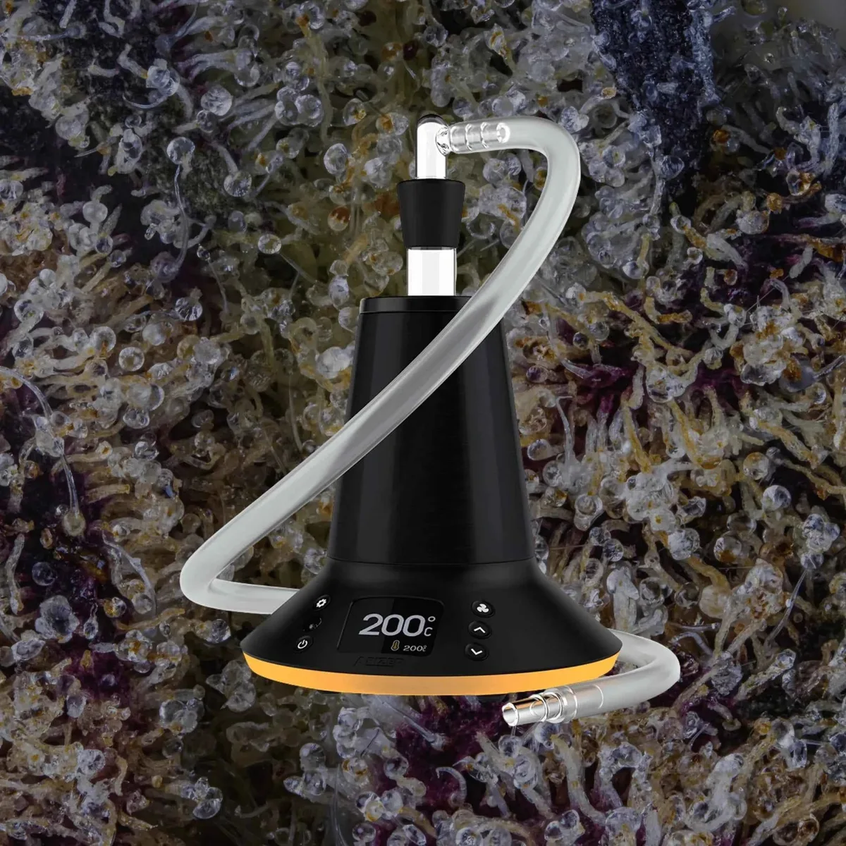 Arizer XQ2, for flower from Trichly