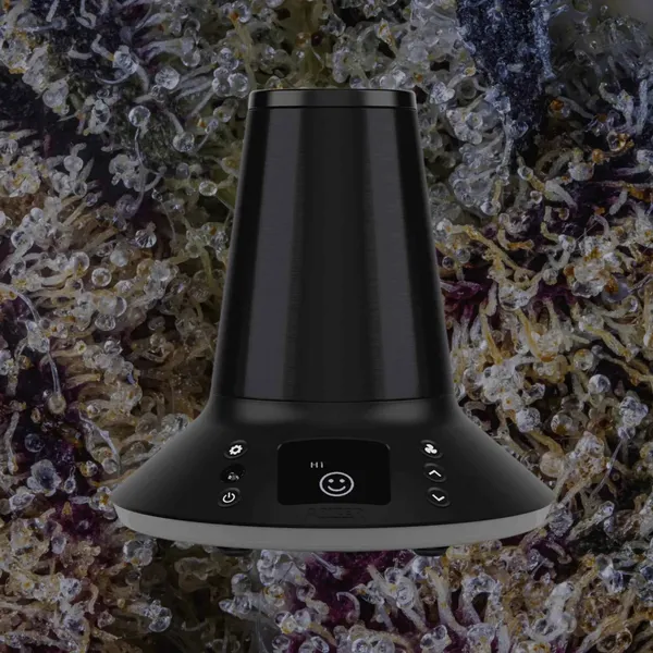 Arizer XQ2, for flower from Trichly photo 3