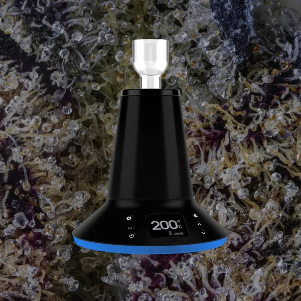 Arizer XQ2, for flower from Trichly photo 4