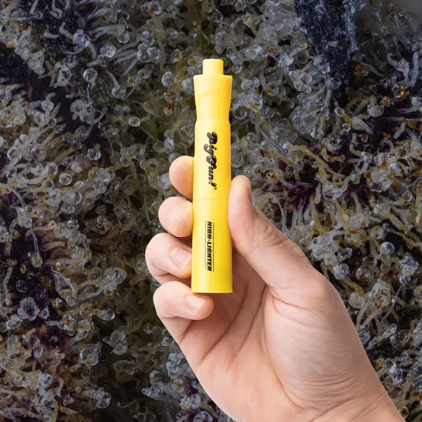 BIGFUN! High-Lighter Vaporizer, cart batteries from Trichly photo 9