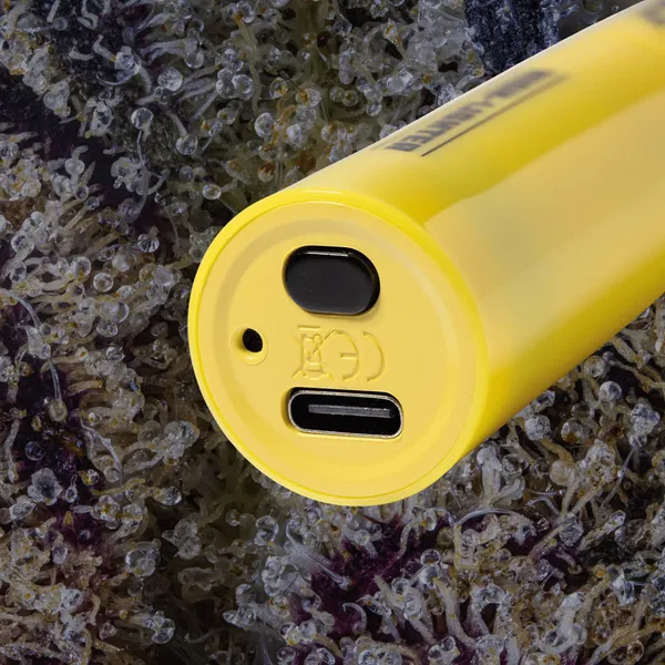 BIGFUN! High-Lighter Vaporizer, cart batteries from Trichly photo 5