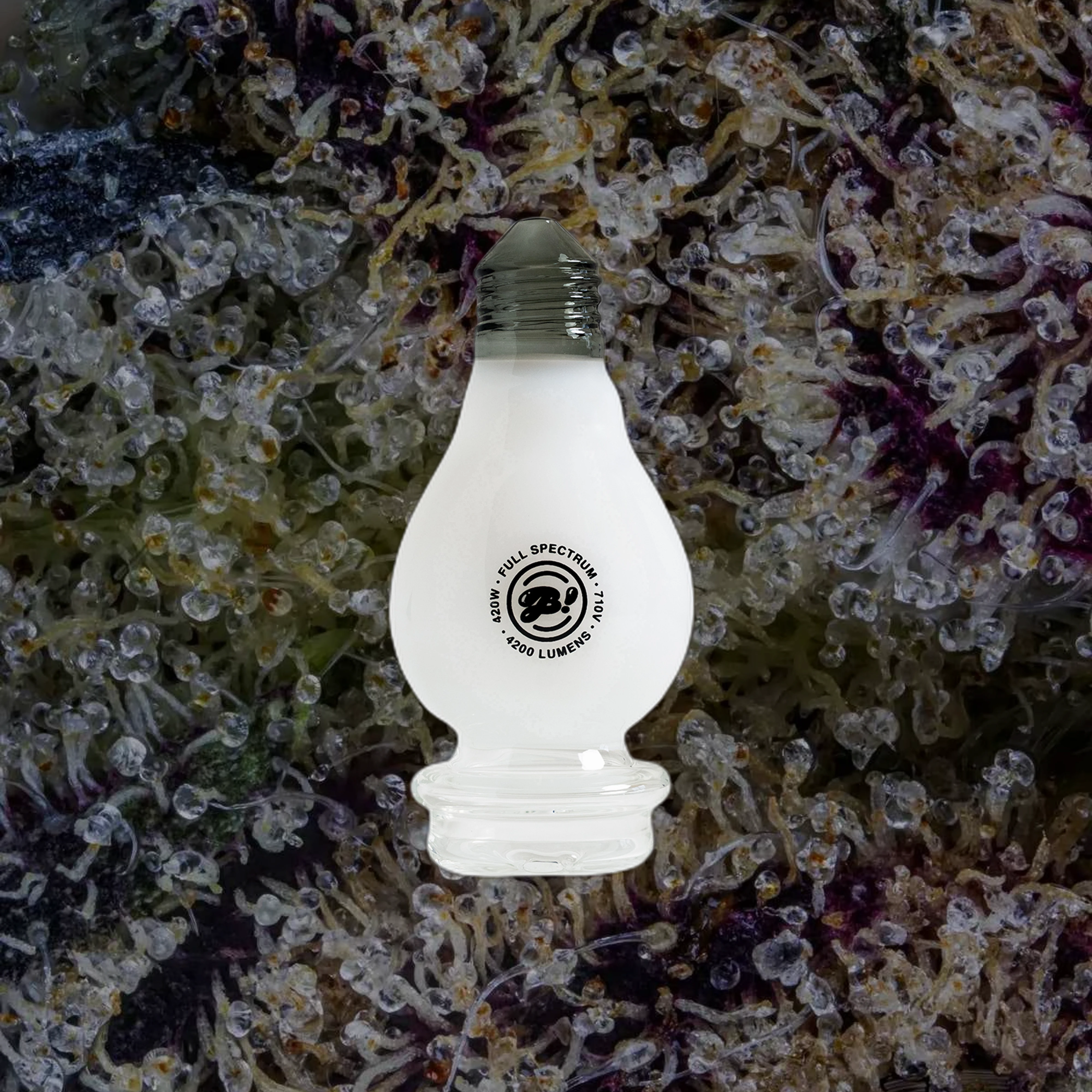 BIGFUN Lightbowl Peak Top for Puffco Peak
