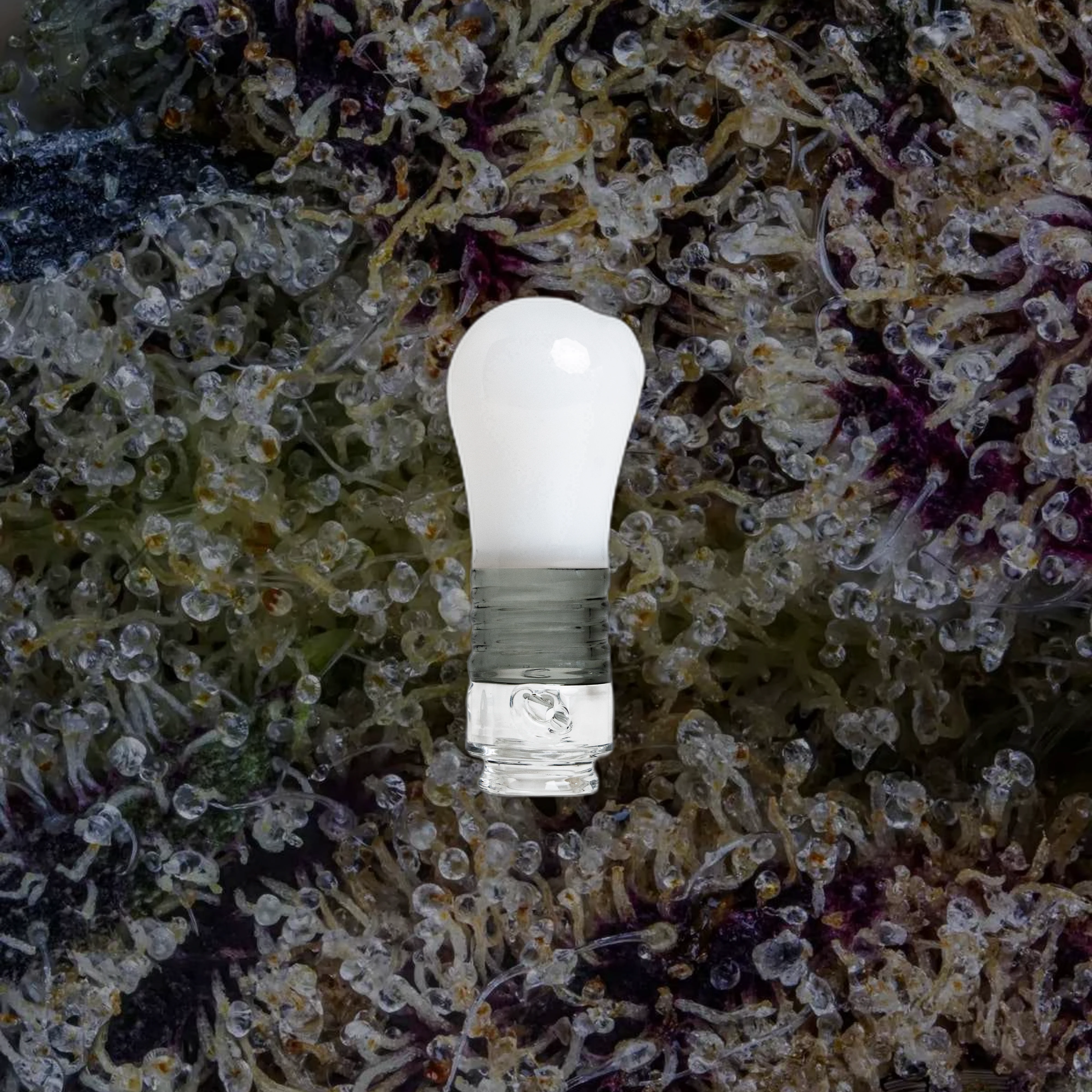 BIGFUN Lightbowl Pivot Top for Puffco Pivot