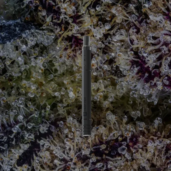 Boundless Technology Terp Pen V2, for extracts from Trichly photo 6