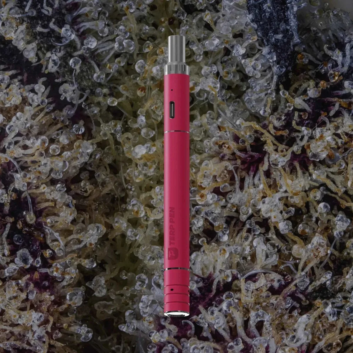 Boundless Technology Terp Pen V2, for extracts from Trichly