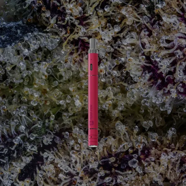Boundless Technology Terp Pen V2, for extracts from Trichly photo 5