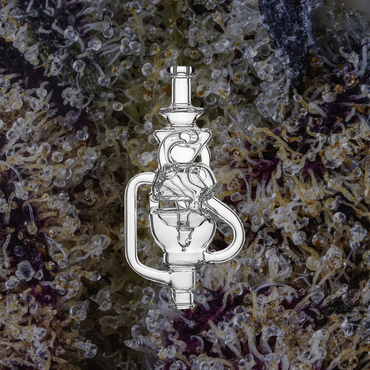 Calibear Fabcycler Puffco Pivot Top — glass from Trichly