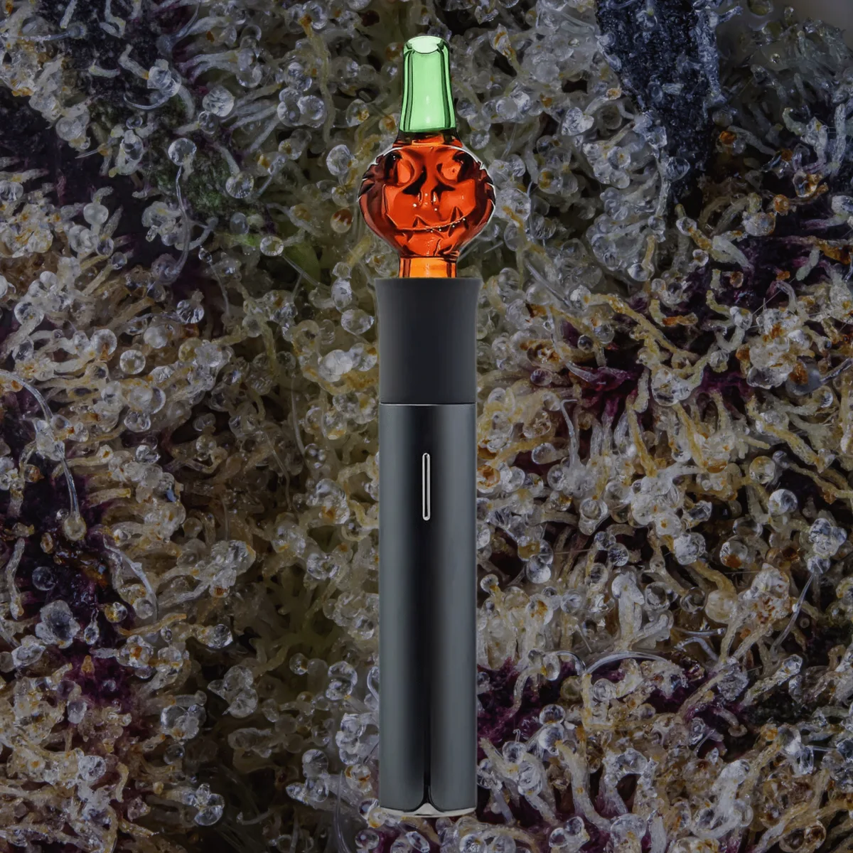 Calibear Pumpkin Jack Puffco Pivot Top — glass from Trichly