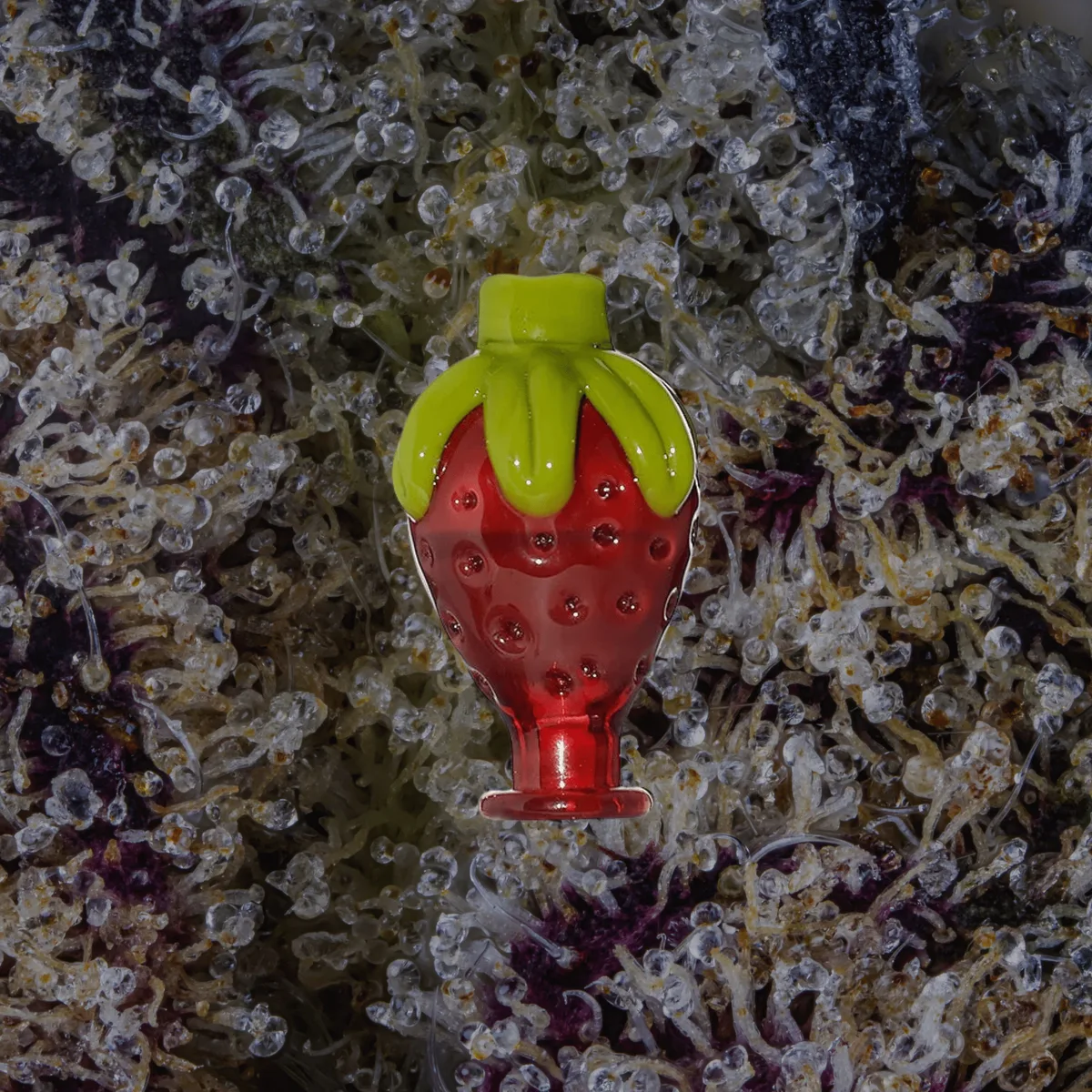 Calibear Strawberry Puffco Pivot Top — glass from Trichly
