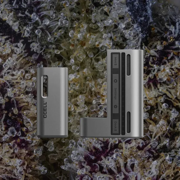 CCELL Fino, cart batteries from Trichly photo 4