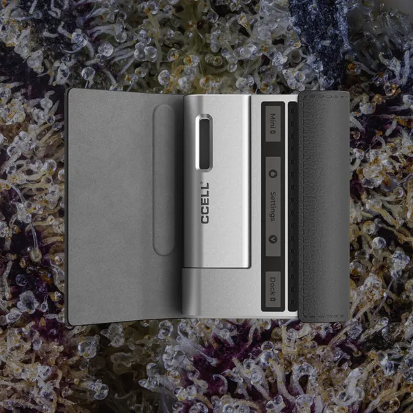 CCELL Fino, cart batteries from Trichly photo 3