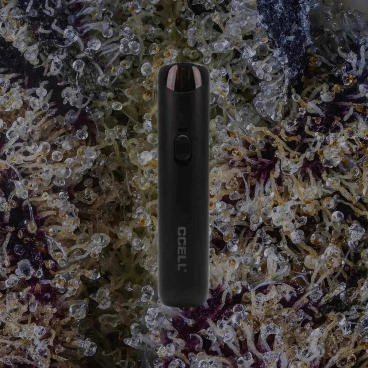CCELL Go Stick, cart batteries from Trichly