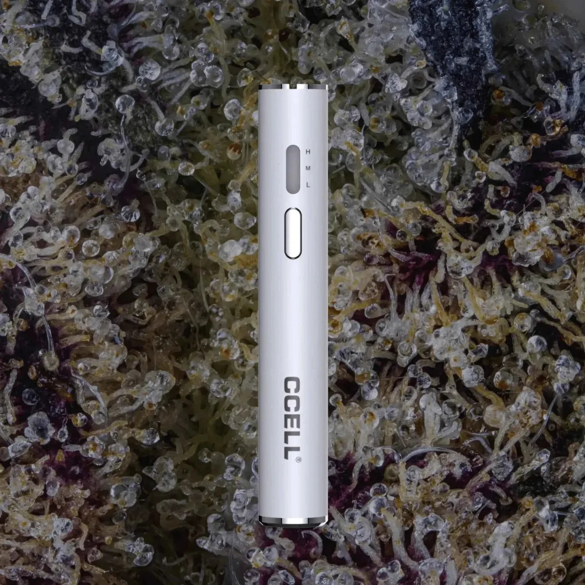 CCELL M3B Plus, cart batteries from Trichly