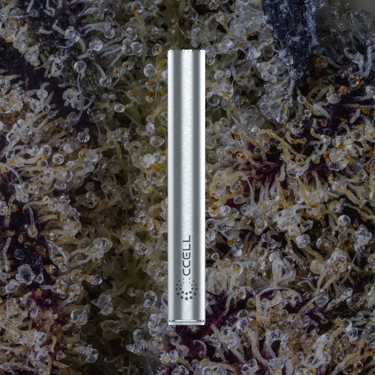 CCELL M4, cart batteries from Trichly