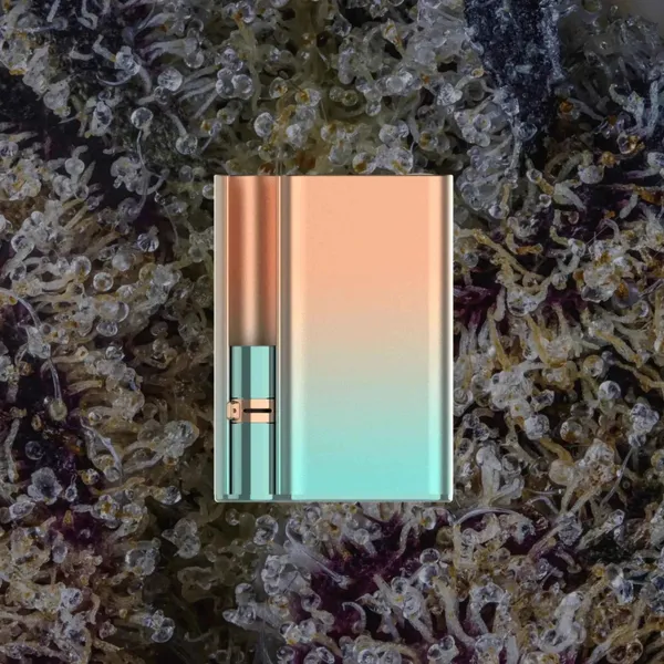 CCELL Palm Pro, cart batteries from Trichly photo 6