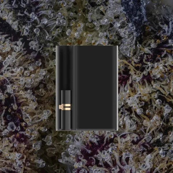 CCELL Palm Pro, cart batteries from Trichly photo 1