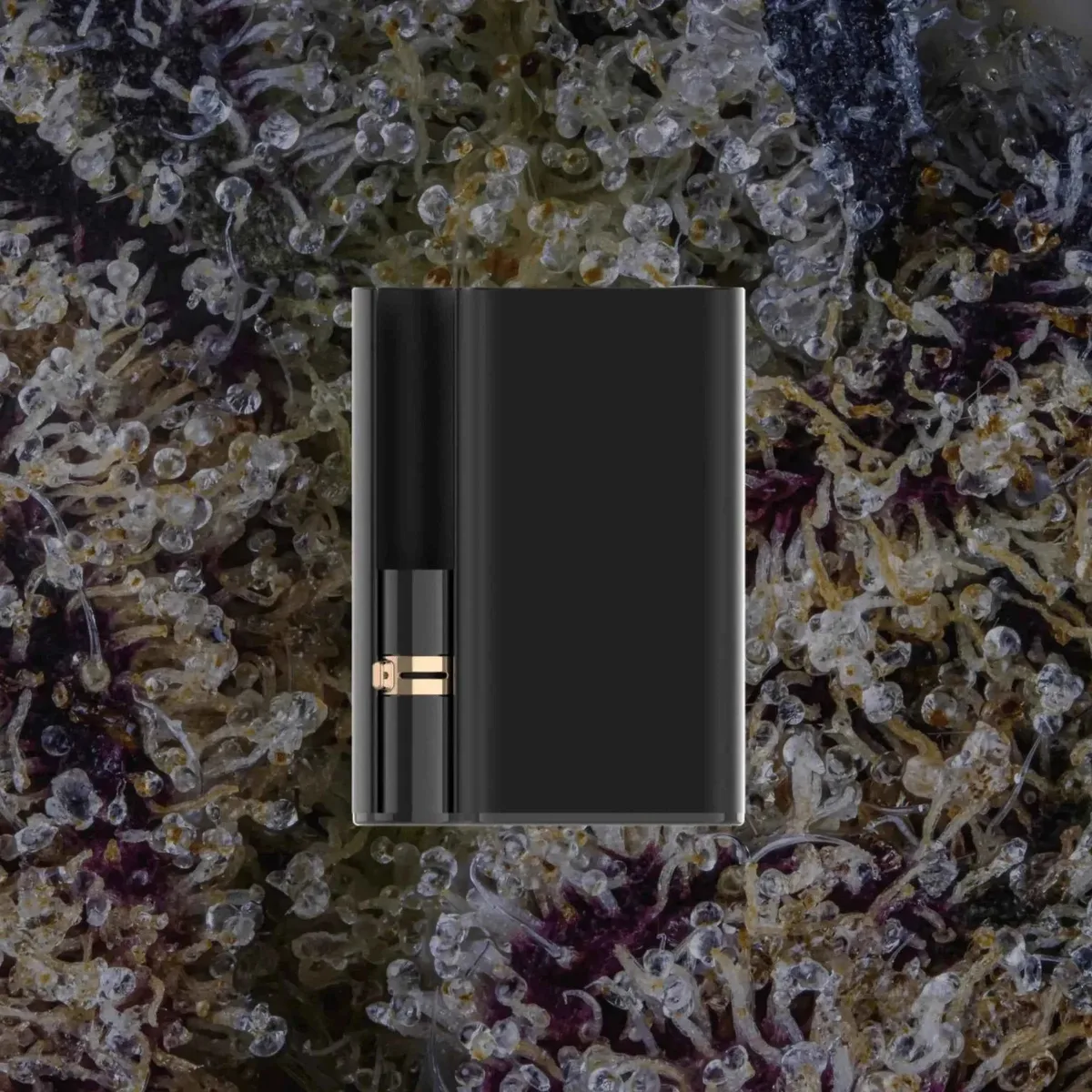 CCELL Palm Pro, cart batteries from Trichly