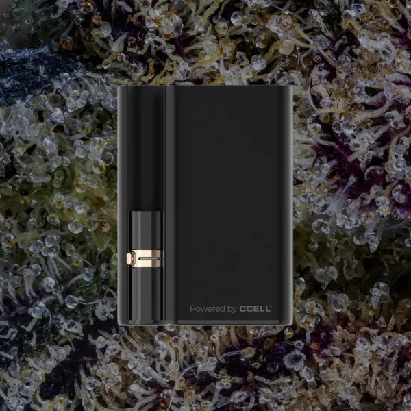 CCELL Palm Pro, cart batteries from Trichly photo 8